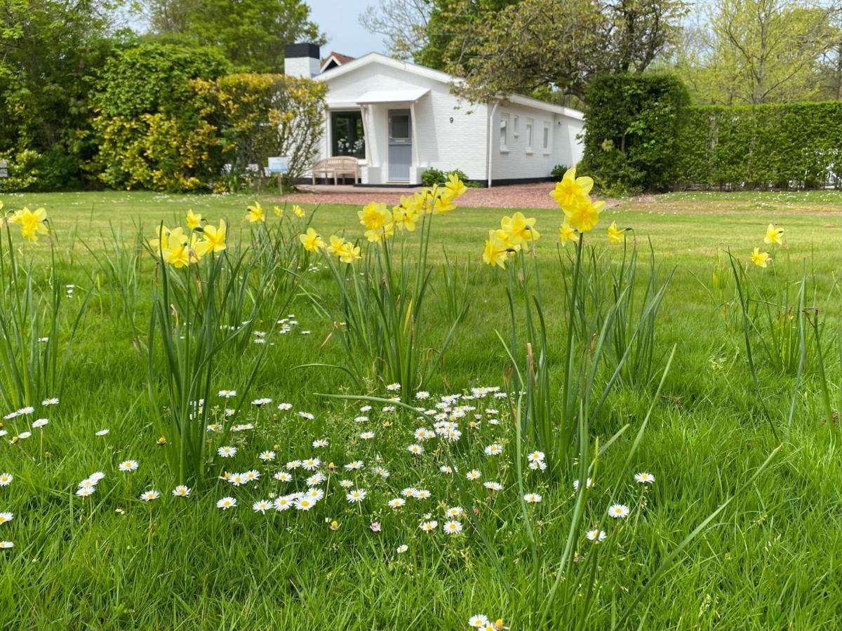 Holiday Park Dennenbos オーストカペッレ エクステリア 写真