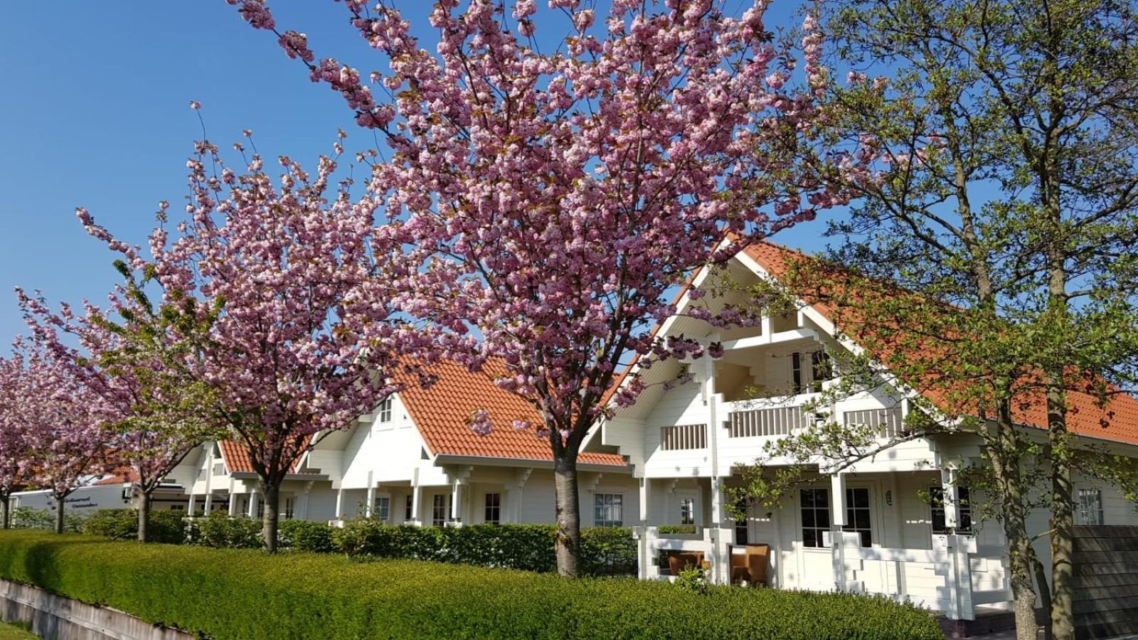 Holiday Park Dennenbos オーストカペッレ エクステリア 写真