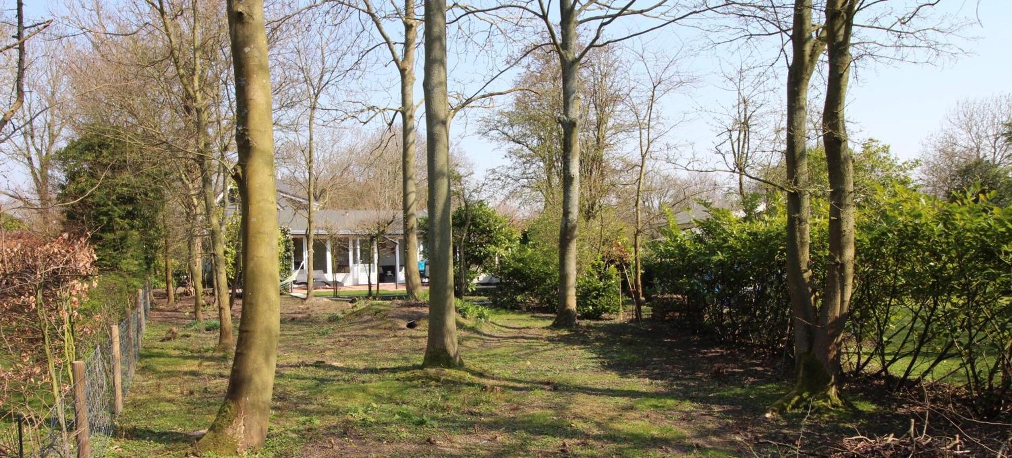 Holiday Park Dennenbos オーストカペッレ エクステリア 写真