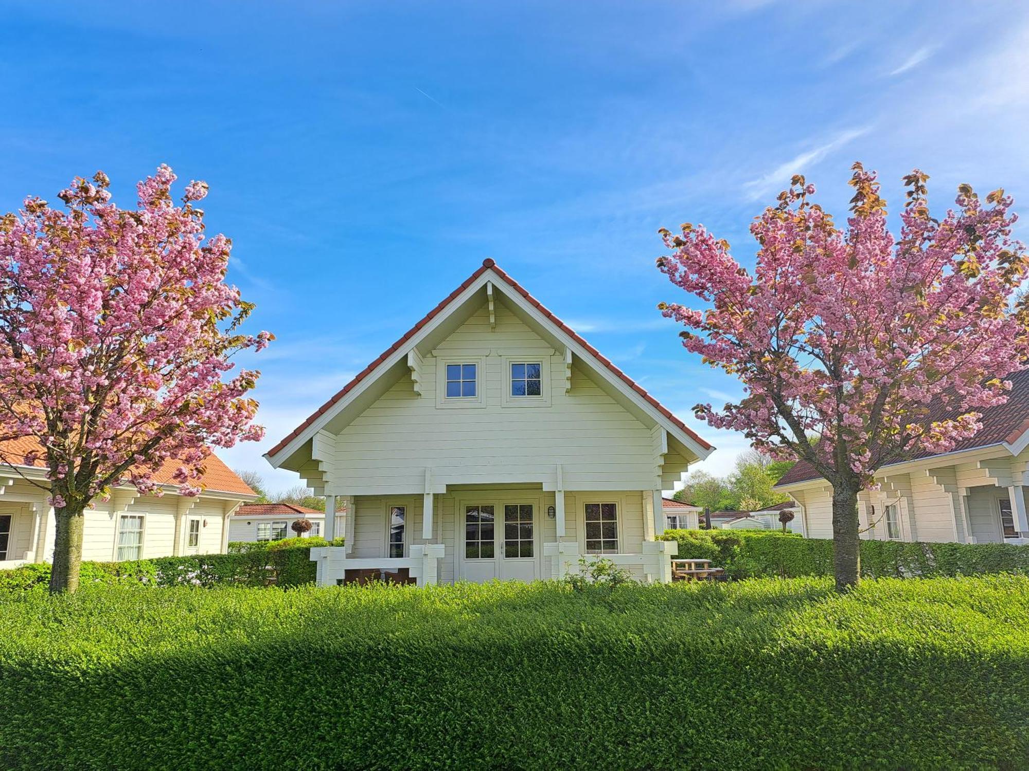 Holiday Park Dennenbos オーストカペッレ エクステリア 写真
