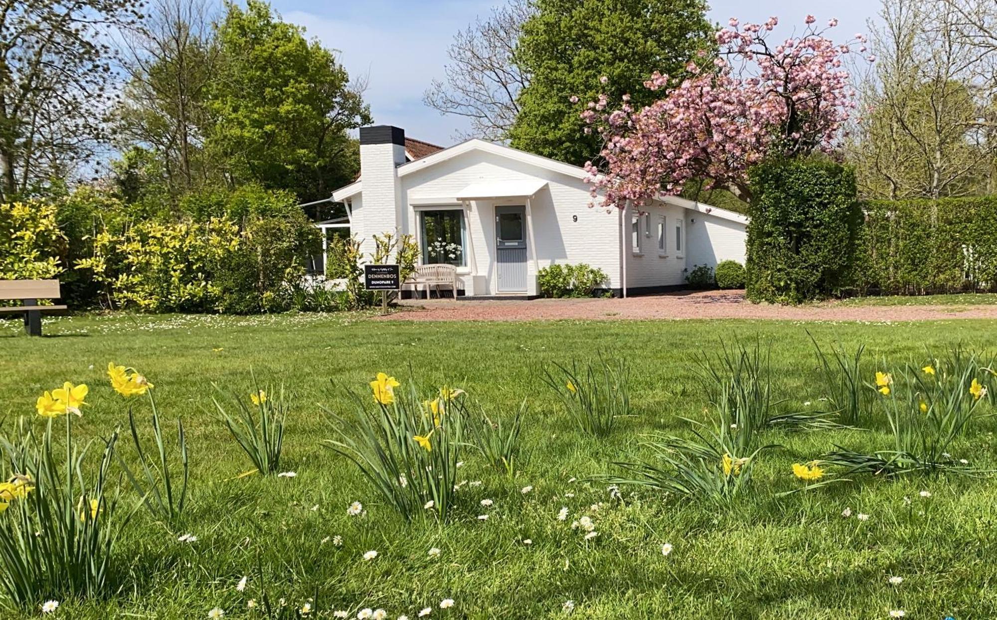 Holiday Park Dennenbos オーストカペッレ エクステリア 写真