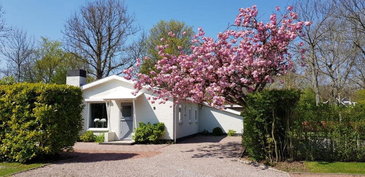 Holiday Park Dennenbos オーストカペッレ エクステリア 写真